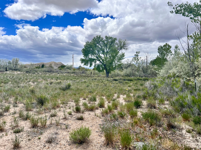Price, UT 84501 — photo 5