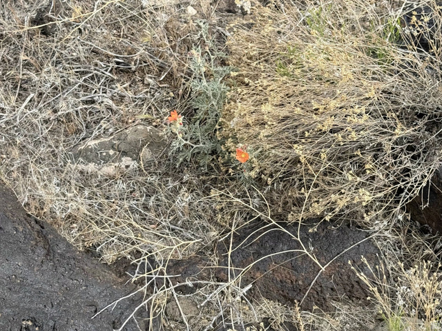, Kanosh, UT 84637 — photo 10