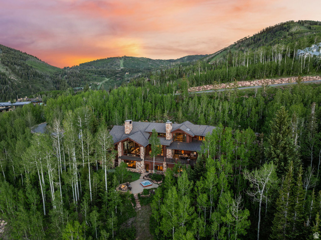 39 White Pine Canyon Rd