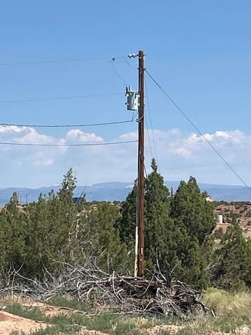 Thumbnail 14