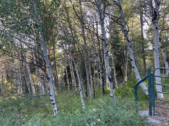 16 Skyline Cir #16, Lava Hot Springs, ID 83246 — photo 7