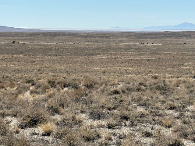 Listing Photo