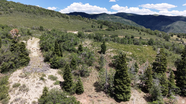 22045 N 143779 E #123, Fairview, UT 84629 — photo 7
