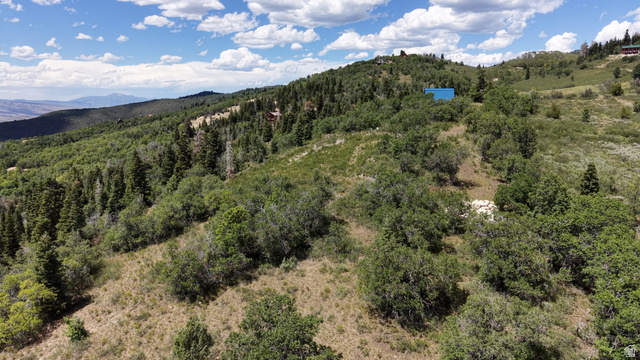 22045 N 143779 E #123, Fairview, UT 84629 — photo 8