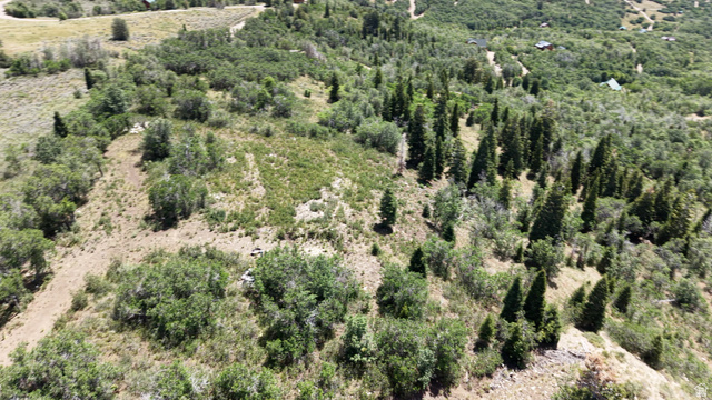 22045 N 143779 E #123, Fairview, UT 84629 — photo 10