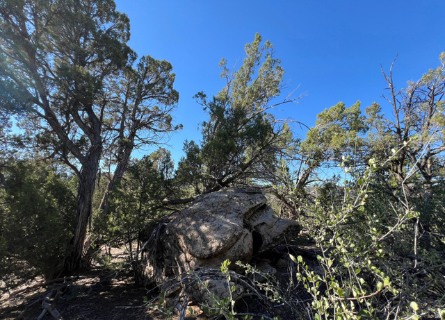 null , La Sal, UT 84530