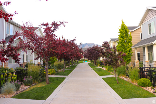 466 W 1595 N #102, Logan UT 84341