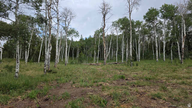 38 Spruce #38A, Kamas, UT 84036 — photo 9