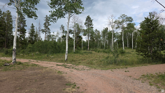 38 Spruce #38A, Kamas, UT 84036 — photo 7