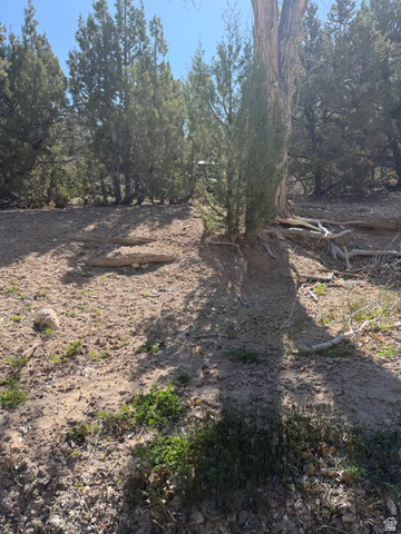#1, Salina, UT 84654 — photo 9
