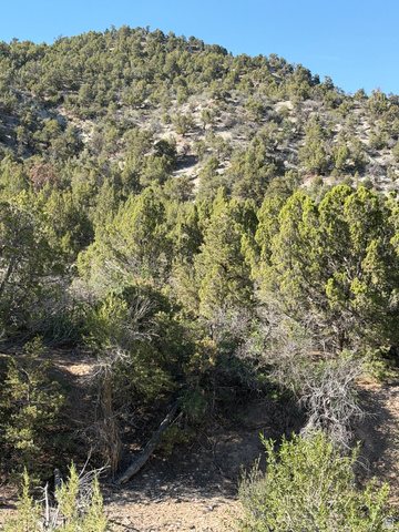 #1, Salina, UT 84654 — photo 2