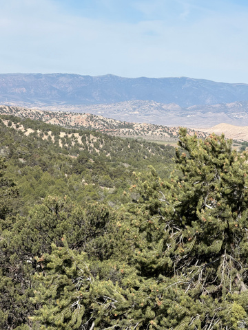 #1, Salina, UT 84654 — photo 4