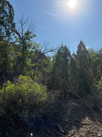 Salina, UT 84654 — photo 11
