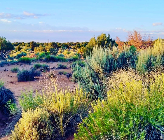 5929 W 350 S, Roosevelt, UT 84066 — photo 4