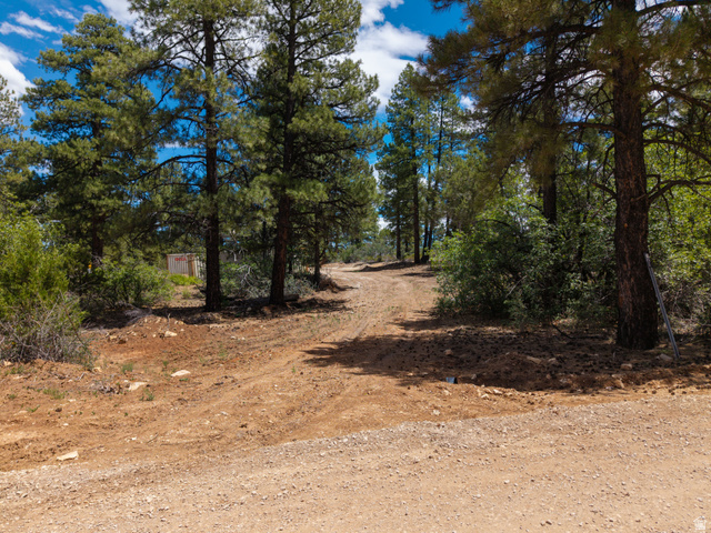 295 S White Oak St #8A-D-2, Orderville, UT 84758 — photo 3