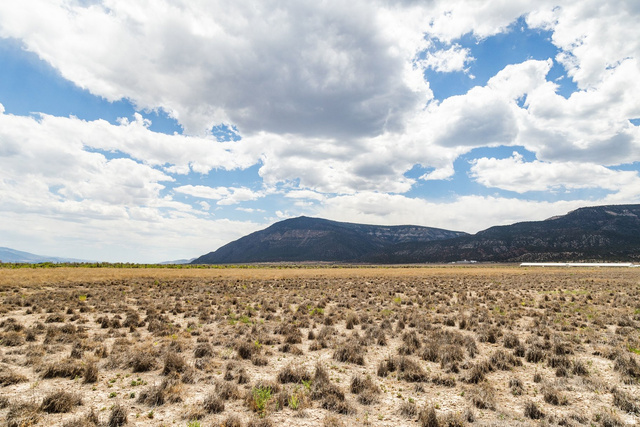 935 E 14250 N #1, Wales, UT 84667 — photo 10