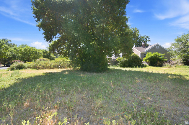 Listing Photo