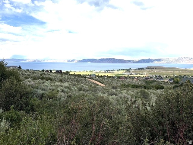 2454 Serviceberry Dr #91, Garden City, UT 84028 — photo 3