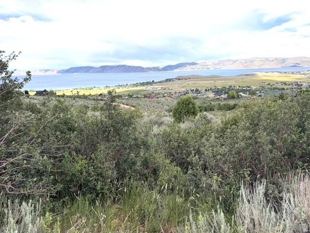 2454 Serviceberry Dr #91, Garden City, UT 84028 — photo 2