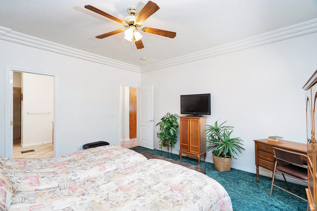 Property in St. George - View 17