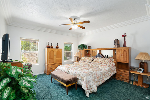 Property in St. George - View 15