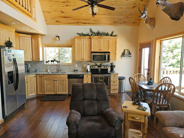 60 E Timber Ridge Road S #60, Mt Pleasant, UT 84647 — photo 5