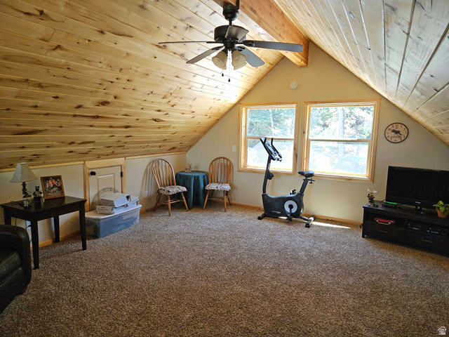 60 E Timber Ridge Road S #60, Mt Pleasant, UT 84647 — photo 7