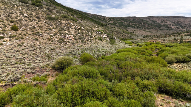 123 Tbd Beaver Creek Rd, Helper, UT 84526 — photo 5