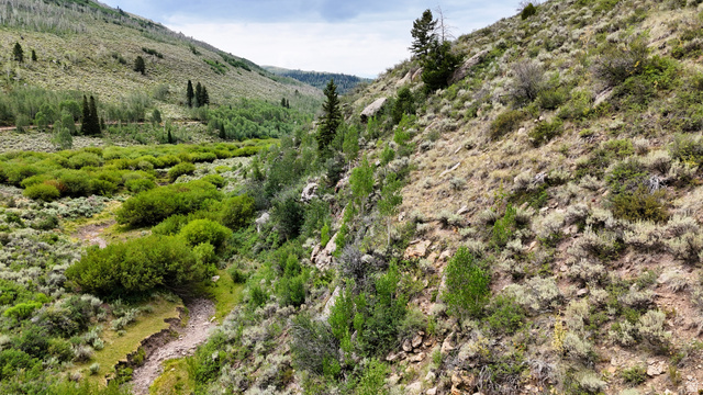 123 Tbd Beaver Creek Rd, Helper, UT 84526 — photo 10