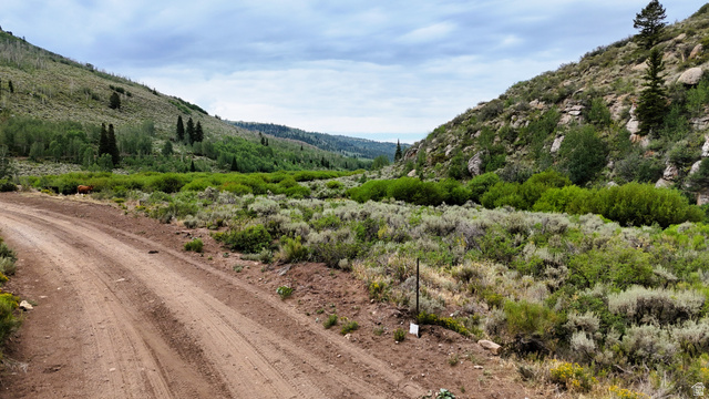 123 Tbd Beaver Creek Rd, Helper, UT 84526 — photo 3
