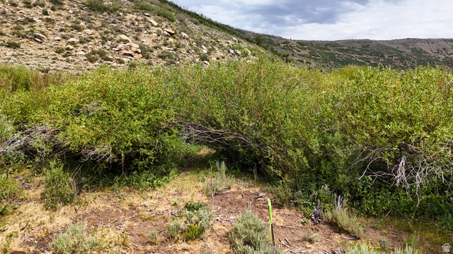 123 Tbd Beaver Creek Rd, Helper, UT 84526 — photo 6