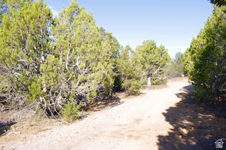 , Fairview, UT 84629 — photo 4