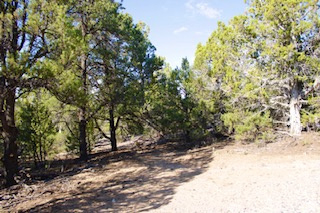 , Fairview, UT 84629 — photo 7