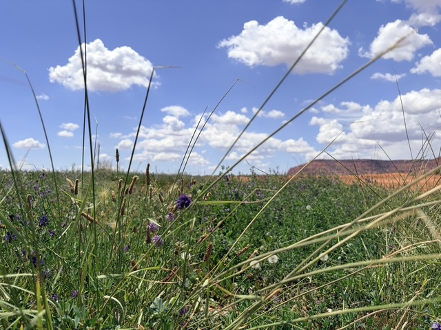 Kanab, UT 84741 — photo 2