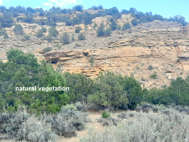 3366 Thompson Canyon Rd N #B, Thompson, UT 84540 — photo 7