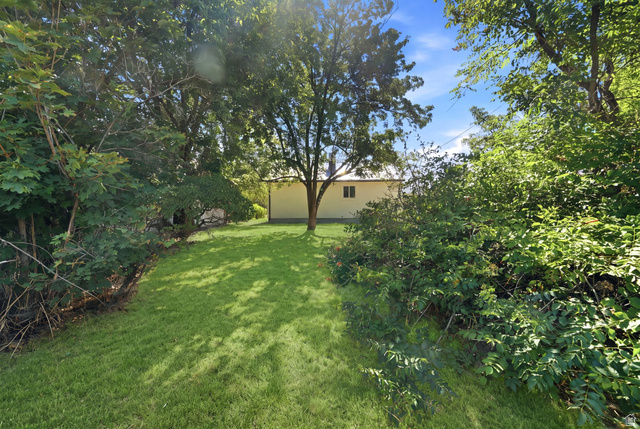 Property in Springville - View 24