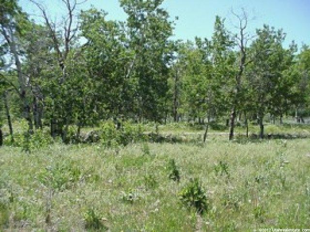 50 View Circle Beaver Crk #50, Georgetown, ID 83239 — photo 3