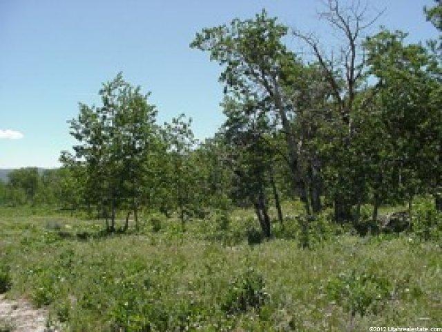 50 View Circle Beaver Crk #50, Georgetown, ID 83239 — photo 6
