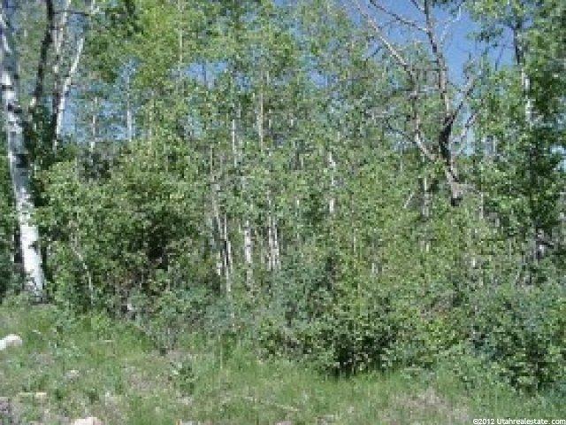 50 View Circle Beaver Crk #50, Georgetown, ID 83239 — photo 8