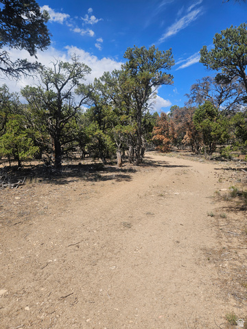 #8, Fruitland, UT 84027 — photo 2