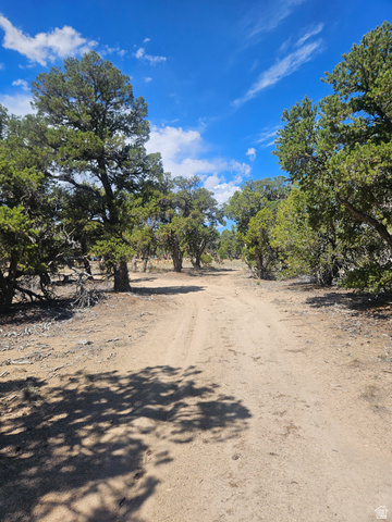 #8, Fruitland, UT 84027 — photo 3