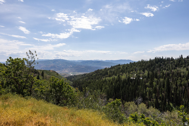 2051 S Pine Meadow Dr #138B, Coalville, UT 84017 — photo 3