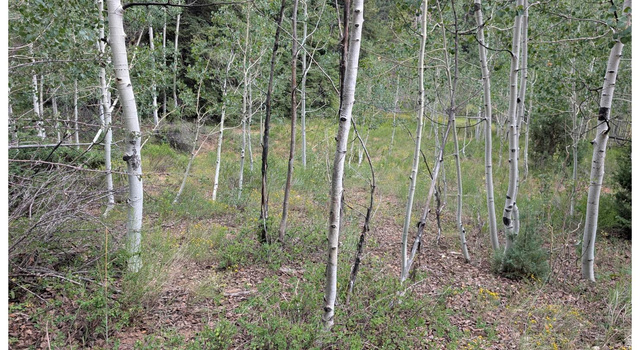 40 Skyhaven Mountain Retreat #40, Duck Creek Village, UT 84762 — photo 7