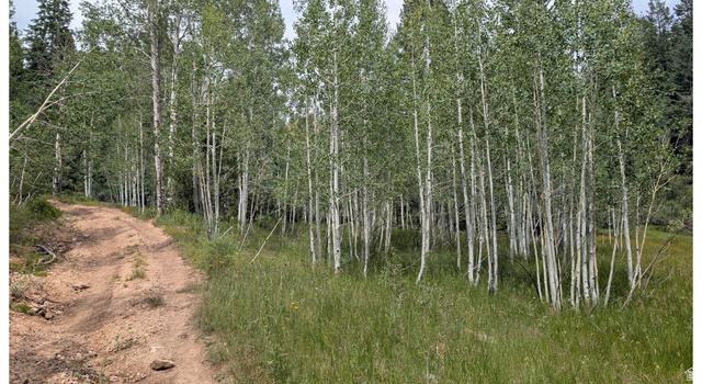 40 Skyhaven Mountain Retreat #40, Duck Creek Village, UT 84762 — photo 5