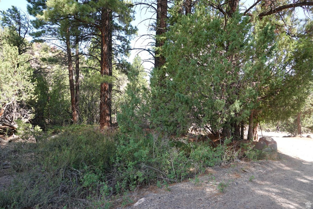 2500 S Birch Creek Rd, Teasdale, UT 84773 — photo 9