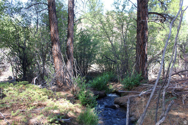 2500 S Birch Creek Rd, Teasdale, UT 84773 — photo 3