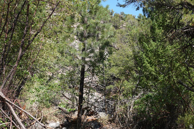 2500 S Birch Creek Rd, Teasdale, UT 84773 — photo 5