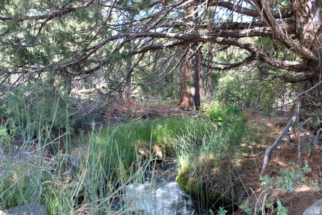 2500 S Birch Creek Rd, Teasdale, UT 84773 — photo 2