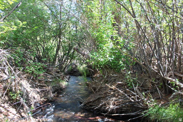 2500 S Birch Creek Rd, Teasdale, UT 84773 — photo 10