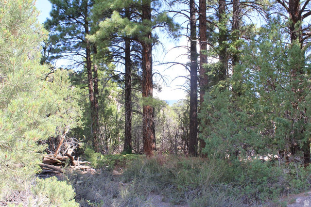 2500 S Birch Creek Rd, Teasdale, UT 84773 — photo 7